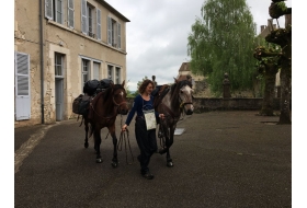 Les chevaux vecteurs de rêves à travers les générations