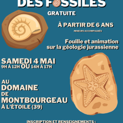 Affiche finale